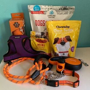 Voyager Purple Dog Harness and Mighty Paw Orange Leash Set